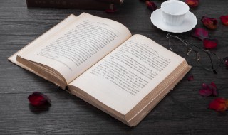 关于动物的名言 关于动物的名言简短