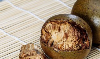 罗汉果什么时候种植比较好（罗汉果什么时候种植比较好活）