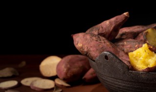 盆栽红薯怎么种（盆栽红薯怎么种植方法图片）