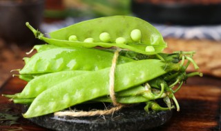 荷兰豆贮藏管理技术 荷兰豆贮藏管理技术规范