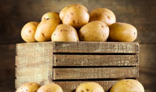 马铃薯咋贮藏（马铃薯应该怎么保存）