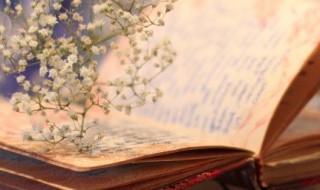 关于自强的诗句 关于自强的诗句九年级