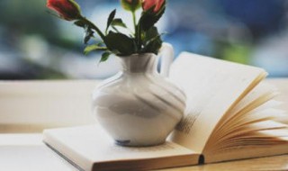 关于回家的诗句（关于回家的诗句古诗词）