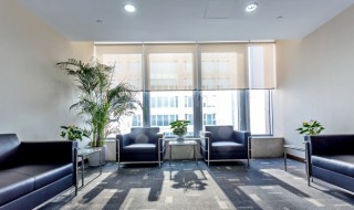 客厅能不能摆放假花（客厅能不能摆放假花和花篮）