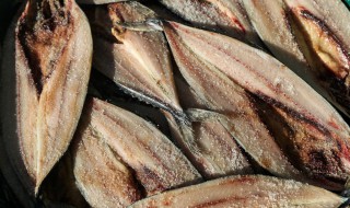 腌制鲅鱼的做法 腌制鲅鱼的做法和配料