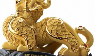 貔貅身上背什么最招财 貔貅背上背什么招财