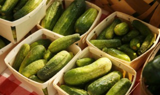 黄瓜有营养价值吗（黄瓜的营养和价值）