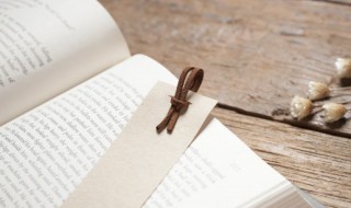 蹈袭的意思是什么 蹈袭什么什么