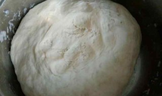 发面做包子怎么做 发面做包子怎么做的