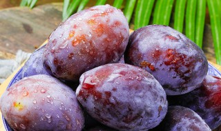 西梅可以盆栽吗（西梅可以种植吗）