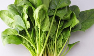 吃菠菜的好处（吃菠菜的好处和坏处）