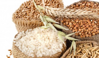 五谷具体指的是哪五谷（五谷具体指的是哪五谷）