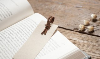 鞍不离马甲不离身的意思解释（鞍不离马是什么意思）