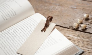 不择手段是什么意思（不择手段是什么意思还珠格格哪一集）