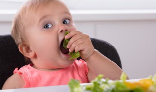 哪些可以培养宝宝的情商 孩子的情商培养