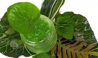 芦荟胶怎么做面膜（芦荟胶怎么做面膜用）