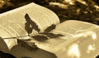 给小男孩起小名字 给小男孩起小名字大全