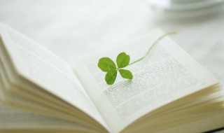 姑妄听之的意思（姑妄听之的意思解释）