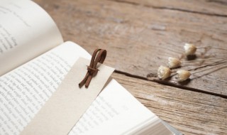 得兔忘蹄是什么意思 蹄者所以在兔,得兔而忘蹄什么意思