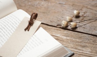 传为佳话的意思（传为佳话的意思和造句）