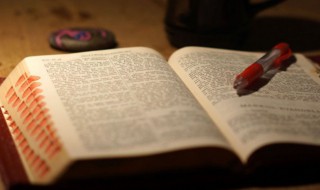 揠苗是什么意思 揠苗是什么意思秧苗