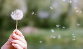 一切看淡顺其自然的说说（一切看淡顺其自然的说说短句）