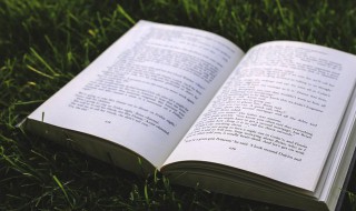 智慧才气的女孩名字 智慧才气的女孩名字一个字