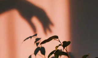 简单又独特的个性签名 简单又独特的个性签名男