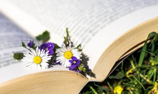 女生网名简短冷淡4个字（女生网名简短冷淡4个字带符号）