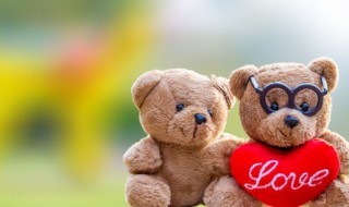 暴力熊是什么意思（暴力熊啥意思）