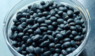 黑豆粥的做法步骤 黑豆粥怎么做好吃法大全