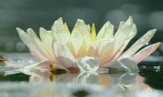 看透人心的禅语 看透人心的禅语是什么