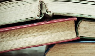 小奶狗男生名字大全（小奶狗男生的名字大全）