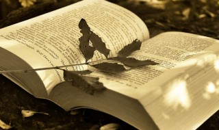 一个字网名干净霸气冷酷（霸气又冷酷的网名有哪些?）