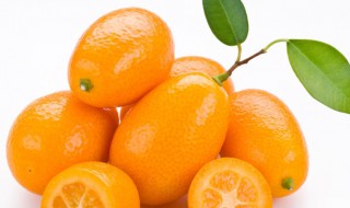 金桔的营养价值 金桔的营养价值和功效