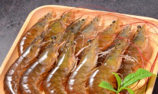 活虾怎么保存为最新鲜（活虾怎么冷冻保存为最新鲜）