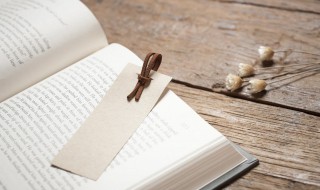 力所能及的意思解释 力所能及的意思解释是什么