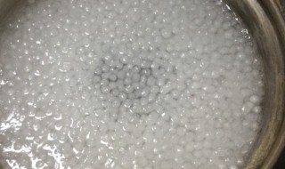 西米粥的材料和做法步骤 西米粥怎么做的