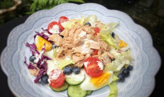 金枪鱼的做法大全 金枪鱼的做法大全家常做法视频