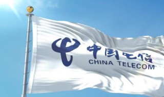 10000怎么转人工服务 10000怎么转人工服务时间