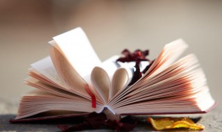 残羹冷炙是什么意思（残羹冷炙是什么意思的炙）