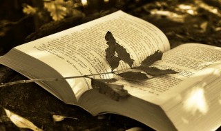 可盐可甜可奶可仙的网名2021最新版的（可盐可甜可奶可仙的QQ名）