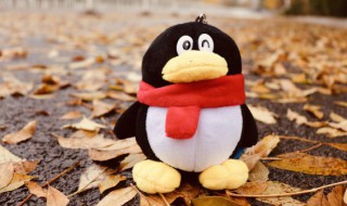 小奶狗的QQ昵称 小奶狗男生qq名字大全