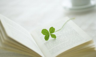 春风化雨是什么意思（春风化雨是什么意思怎么造句）