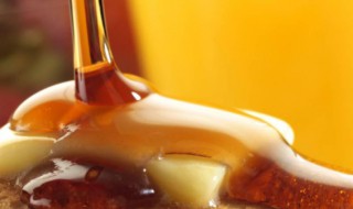 枫糖的制作方法（枫糖的制作过程）
