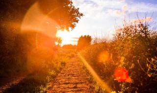 发快手最火的句子（发快手最火的句子每个女人都有自己的底线）