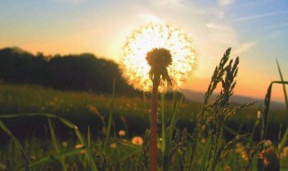 快手最火评论句子（快手热门评论句子）