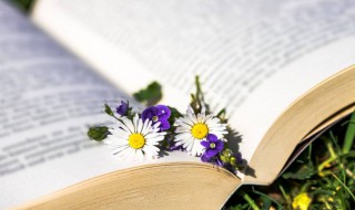 好听诗意的爱情网名浪漫钟情 比较有诗意的名字情侣网名