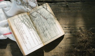 精诚所至金石为开的意思解释 精诚所至金石为开的意思解释是什么