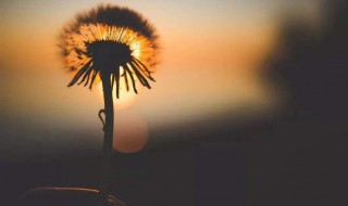 快手上特别火的句子 快手上很火的句子